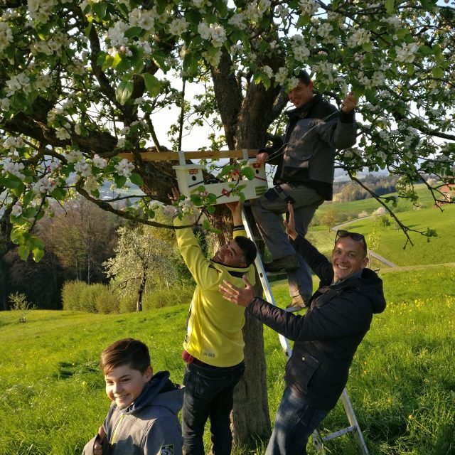 2017 Mai, Eröffnung 6